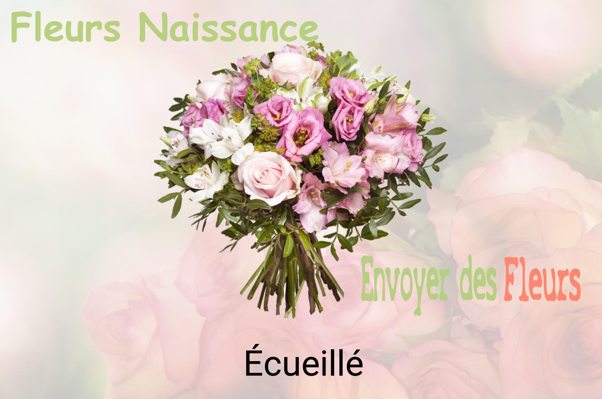 Bouquet de fleurs de naissance livré à Écueillé