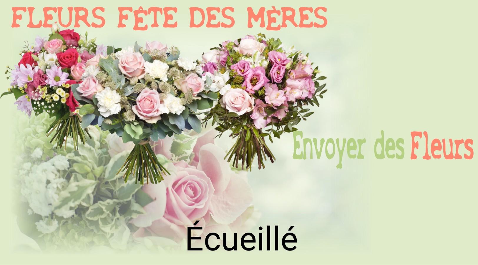 Bouquet de Fête des Mères livré à Écueillé